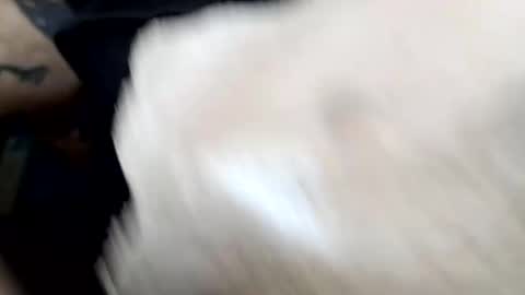 lust_khali online show from 02-01-26, 12:37