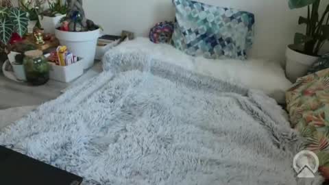 lustlnbalancevh online show from 01-19-26, 07:56