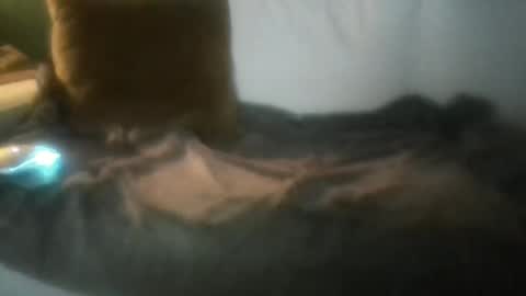 Snapshot of luvbigtits271 chatting on 01-01-25, 06:26 luvbigtits271 online show from 01-01-25, 06:26