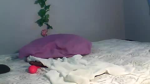 Bee Bee online show from 10-15-25, 03:50