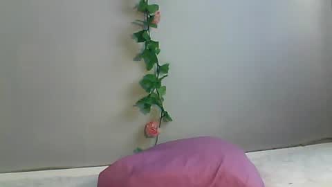 Bee Bee online show from 10-22-25, 02:34