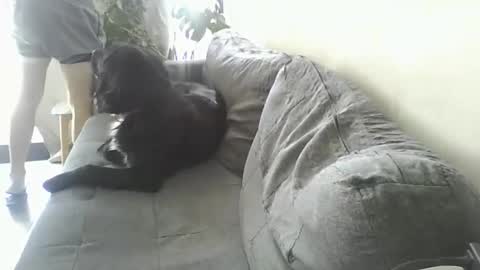 Snapshot of luzardol chatting on 03-05-25, 02:56 luzardol online show from 03-05-25, 02:56