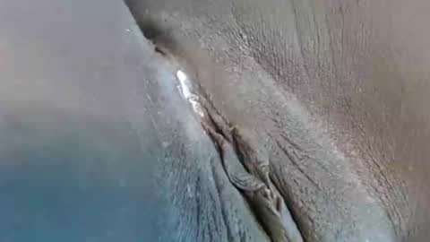 lyiajee online show from 09-23-25, 02:53