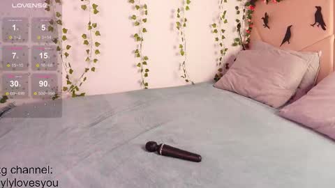 Snapshot of lyly_loveyou chatting on 10-28-25, 05:33 Lyly online show from 10-28-25, 05:33