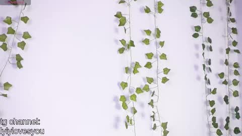 Lyly   online show from 01-17-26, 05:45