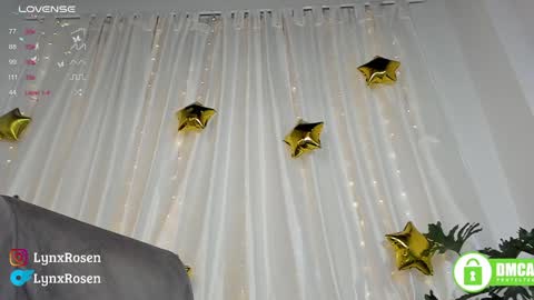 Snapshot of lynxrosen chatting on 01-18-25, 12:13 Lynx Rosen online show from 01-18-25, 12:13