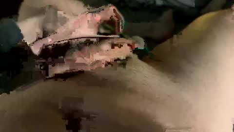 Maasssiv online show from 03-02-25, 09:42