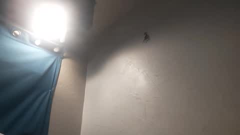 Snapshot of mac11thizzelw chatting on 03-31-26, 02:50 mac11thizzelw online show from 03-31-26, 02:50