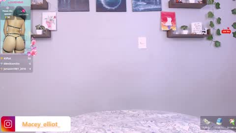 Snapshot of macey_hairy chatting on 01-17-25, 08:11 Macey Elliot Modelo Independiente online show from 01-17-25, 08:11
