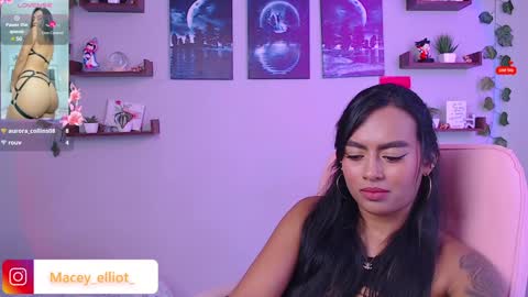 Snapshot of macey_hairy chatting on 02-06-25, 03:31 Macey Elliot Modelo Independiente online show from 02-06-25, 03:31