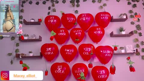 Snapshot of macey_hairy chatting on 02-15-25, 02:55 Macey Elliot Modelo Independiente online show from 02-15-25, 02:55