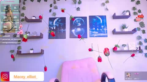 Snapshot of macey_hairy chatting on 02-26-25, 07:16 Macey Elliot Modelo Independiente online show from 02-26-25, 07:16