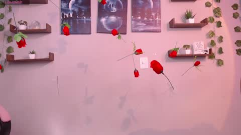 Snapshot of macey_hairy chatting on 03-01-25, 02:02 Macey Elliot Modelo Independiente online show from 03-01-25, 02:02