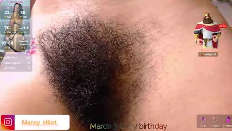 Snapshot of macey_hairy chatting on 03-02-25, 11:42 Macey Elliot Modelo Independiente online show from 03-02-25, 11:42