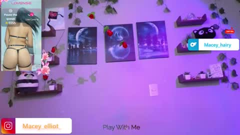 Snapshot of macey_hairy chatting on 03-12-25, 09:35 Macey Elliot Modelo Independiente online show from 03-12-25, 09:35