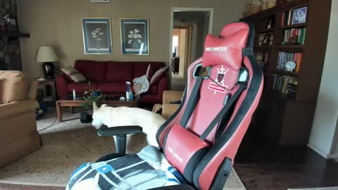 Snapshot of machinecumkelly69 chatting on 09-21-25, 06:09 machinecumkelly69 online show from 09-21-25, 06:09