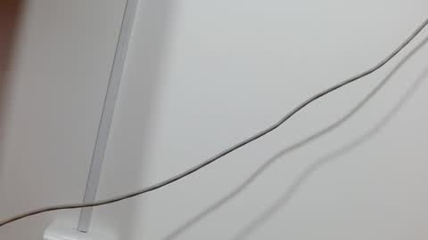 Maddy UwU online show from 12-21-24, 12:16