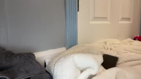 madibaby999 online show from 01-15-26, 10:24