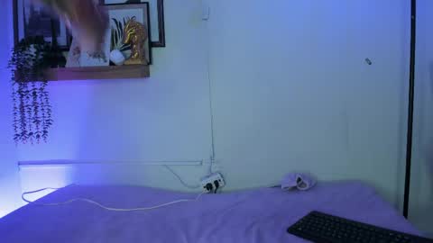    online show from 05-31-26, 07:04