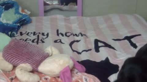 Snapshot of maferchavez88 chatting on 02-09-26, 02:15 maferchavez88 online show from 02-09-26, 02:15