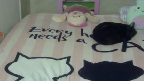 Snapshot of maferchavez88 chatting on 02-22-26, 10:19 maferchavez88 online show from 02-22-26, 10:19