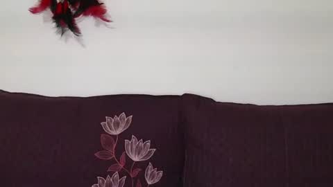 Snapshot of magic_door_open chatting on 10-30-25, 09:11 magic door open online show from 10-30-25, 09:11