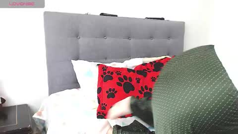 magic_stephany__ online show from 02-04-26, 01:28