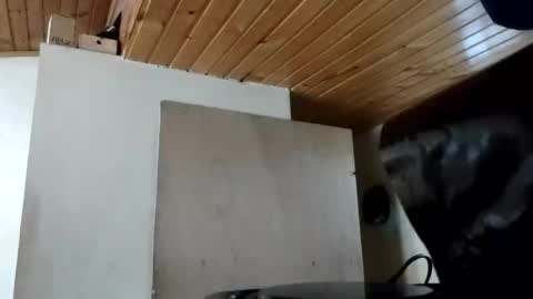 MAITE STONE1 online show from 10-31-25, 11:55