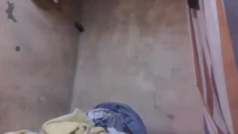 Snapshot of malalazah chatting on 03-08-26, 06:06 malalazah online show from 03-08-26, 06:06