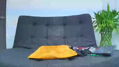 Snapshot of malcompierce chatting on 02-06-26, 02:16 Malcom online show from 02-06-26, 02:16