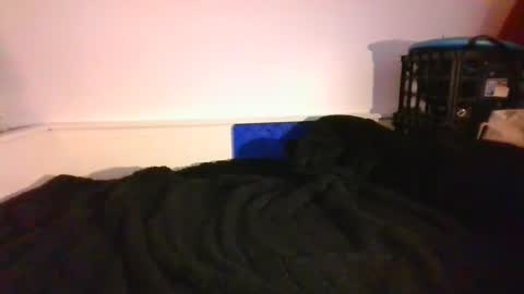 CommandbondageNipples bondage kink submissive lovense slave wgear. modequiethvyBondage If Password goldfish online show from 12-14-24, 09:56