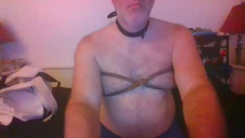 CommandbondageNipples bondage kink submissive lovense slave wgear. modequiethvyBondage If Password goldfish online show from 10-14-25, 07:31