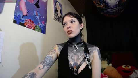 Alice Asylum online show from 12-13-24, 01:37