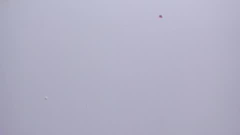 malory__jones online show from 01-16-26, 06:34