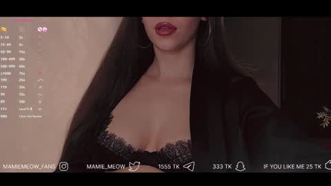 Snapshot of mamiemeow chatting on 02-05-25, 02:48 Your Miss Alice online show from 02-05-25, 02:48