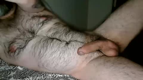 Man Dime Bear17 online show from 12-27-24, 05:31