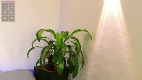 Snapshot of mandyminx66 chatting on 07-18-26, 08:34 Mandy Val online show from 07-18-26, 08:34