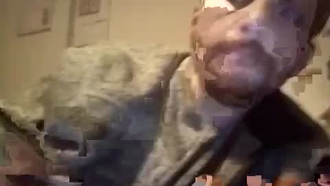 LANGERFICK online show from 01-18-25, 07:38