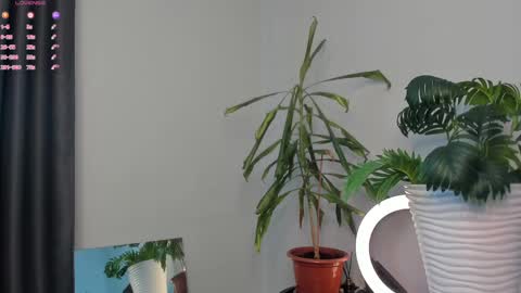Snapshot of manita_misti chatting on 05-05-26, 10:01 Manita online show from 05-05-26, 10:01