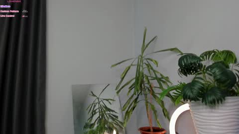 Snapshot of manita_misti chatting on 05-08-26, 09:25 Manita online show from 05-08-26, 09:25