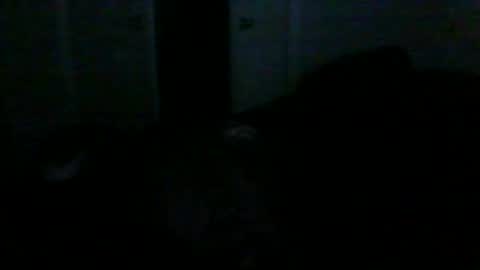 Snapshot of manpntheprowll chatting on 01-15-26, 11:08 manontheprowll online show from 01-15-26, 11:08