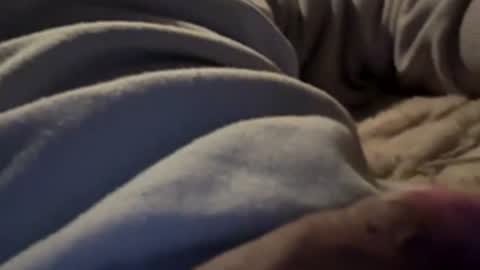 manue957825 online show from 02-09-26, 05:11