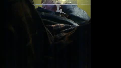 Snapshot of manufocus chatting on 01-09-26, 10:33 Manu online show from 01-09-26, 10:33