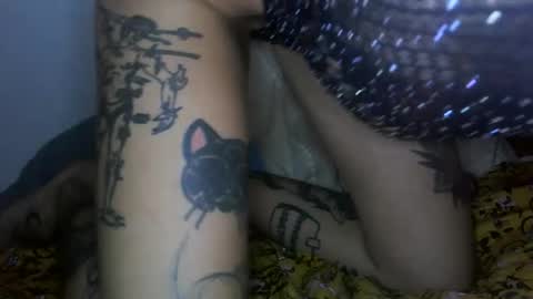 margotshorse online show from 02-22-26, 09:02