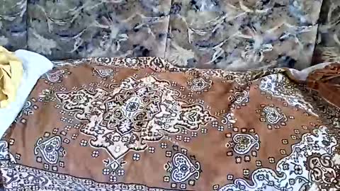 marian20242025 online show from 11-01-25, 07:10