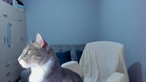    online show from 03-08-25, 02:45