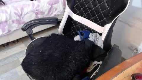 Marilyn  online show from 02-26-25, 08:44