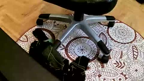 Snapshot of mario659234 chatting on 03-22-26, 02:42 marcoxxl online show from 03-22-26, 02:42