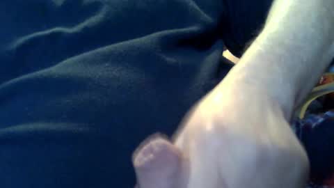 marko_th online show from 02-08-26, 11:19