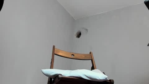 Snapshot of markwaynescr chatting on 10-16-25, 12:06 MARK online show from 10-16-25, 12:06